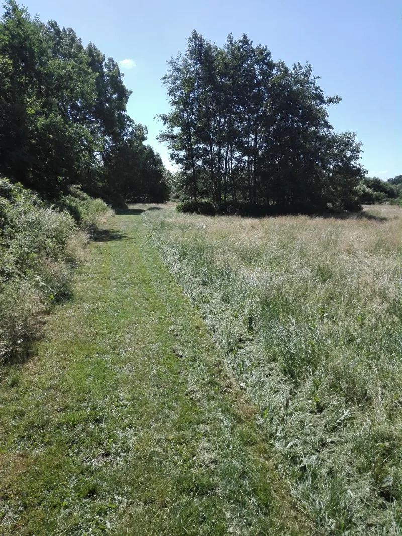 Nr. Broby Hundepark (Nørre Broby) billede 3