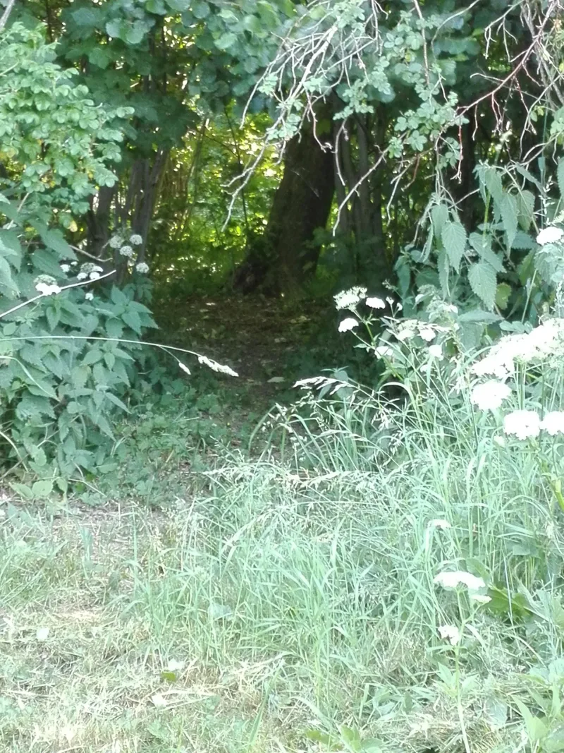 Nr. Broby Hundepark (Nørre Broby) flere billeder
