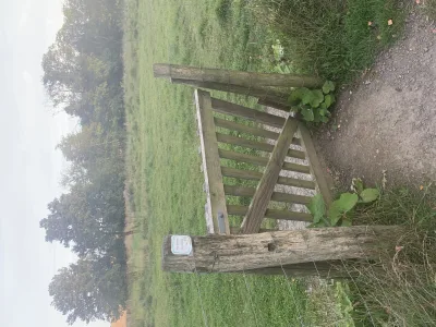 Rø Hundeskov billede 4