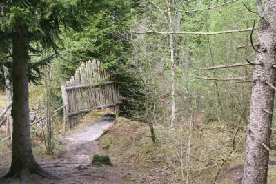 Hundeskov Ulvedal Plantage - Alheden Hundeskov