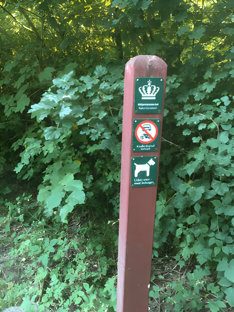 Sønderskoven Hundeskov Sønderborg billede 2