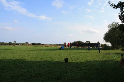 Hundeengen ved Weinkouff Hundeadfærdscenter billede 4