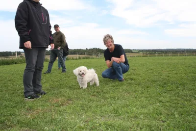 Hundeengen ved Weinkouff Hundeadfærdscenter billede 2