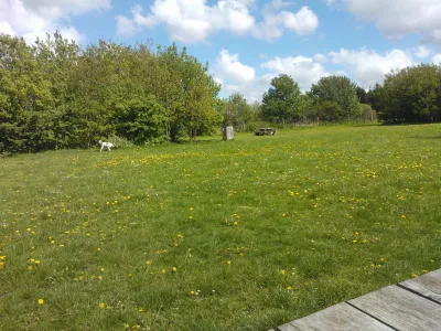 Hundeskov Ulfborg Hundeskov