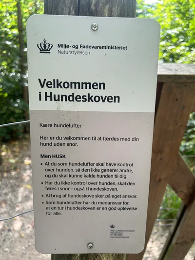 Hundeskov ved Rugballegård skov flere billeder