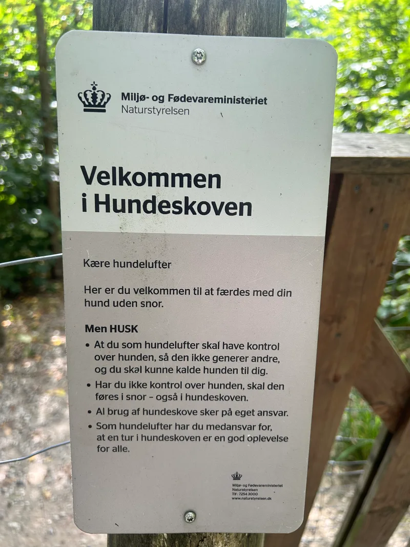 Hundeskov ved Rugballegård skov flere billeder