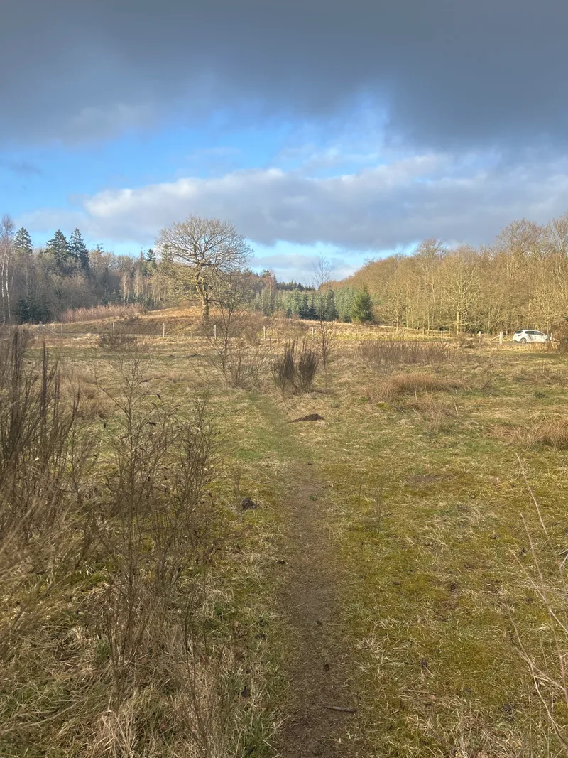 Gødding Skov Hundeskov flere billeder