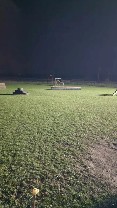 Abkær Hundeleg billede 3