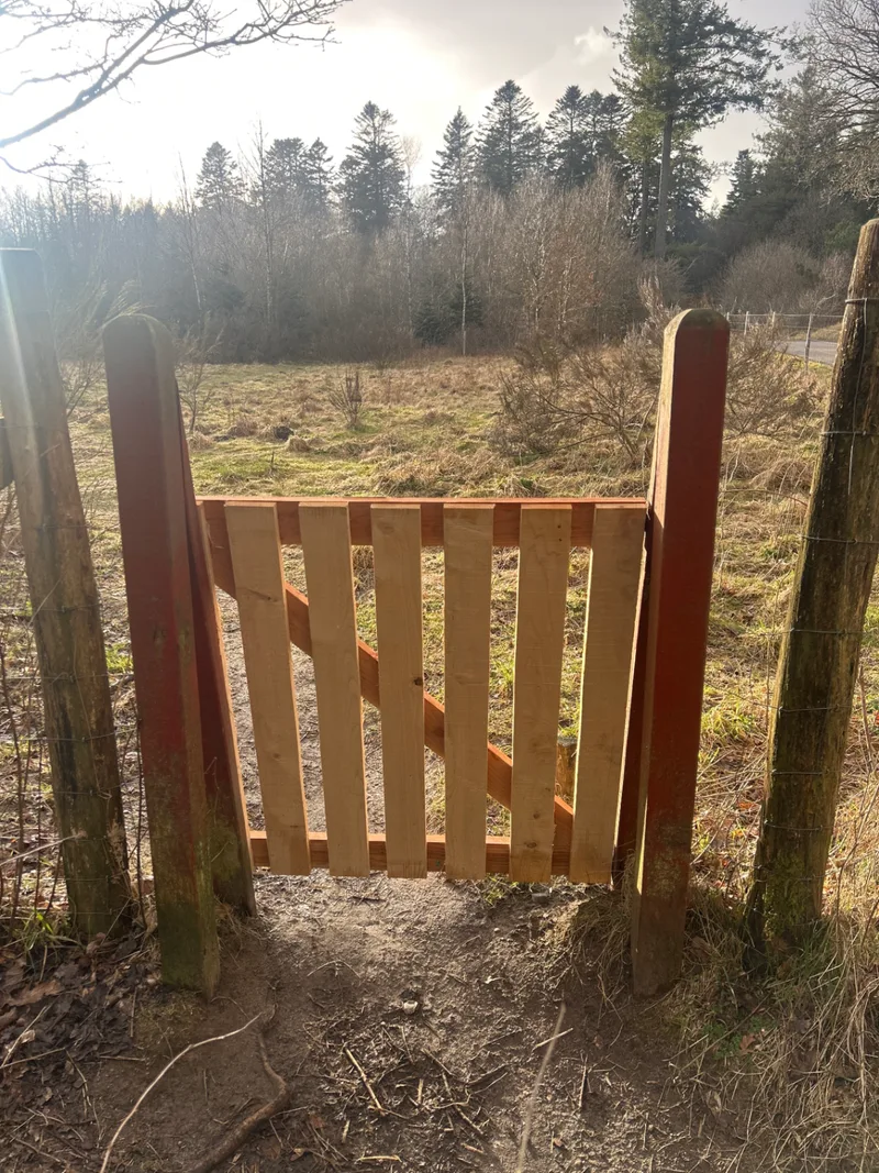 Gødding Skov Hundeskov billede 1