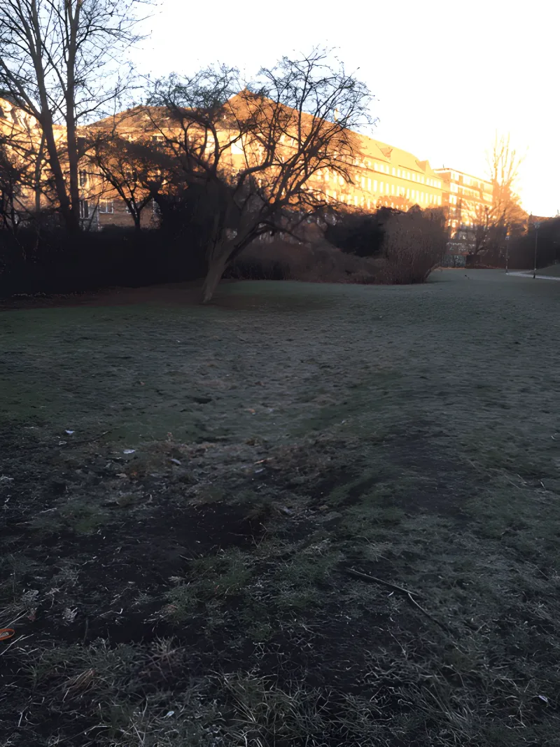 Ågadeparken fritløbsområde flere billeder