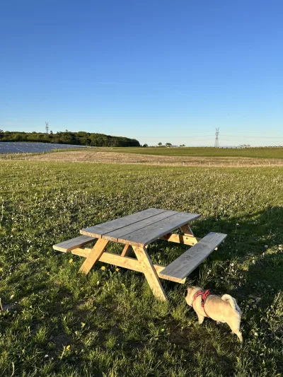 Viuf hundepark flere billeder