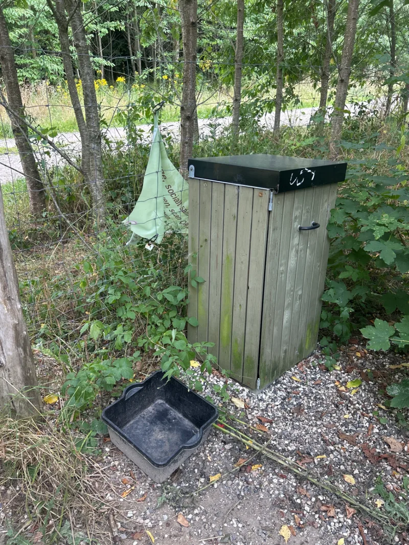 Hundeskov ved Rugballegård skov billede 2