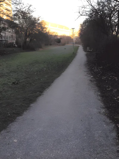Hundeskov Ågadeparken fritløbsområde