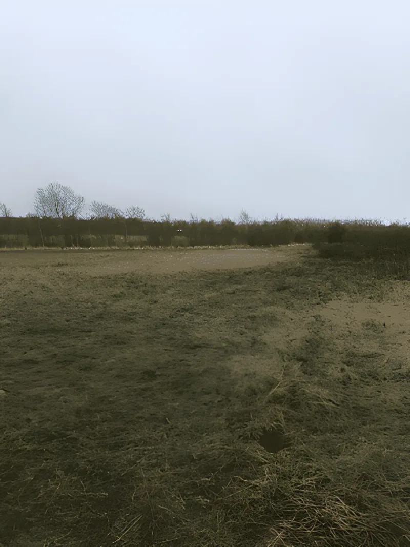Even hundeskov billede 3