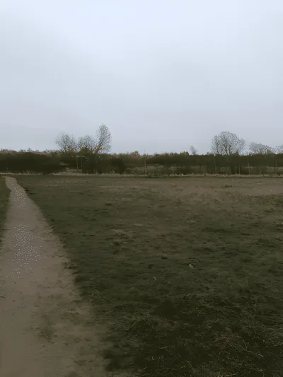 Even hundeskov billede 2