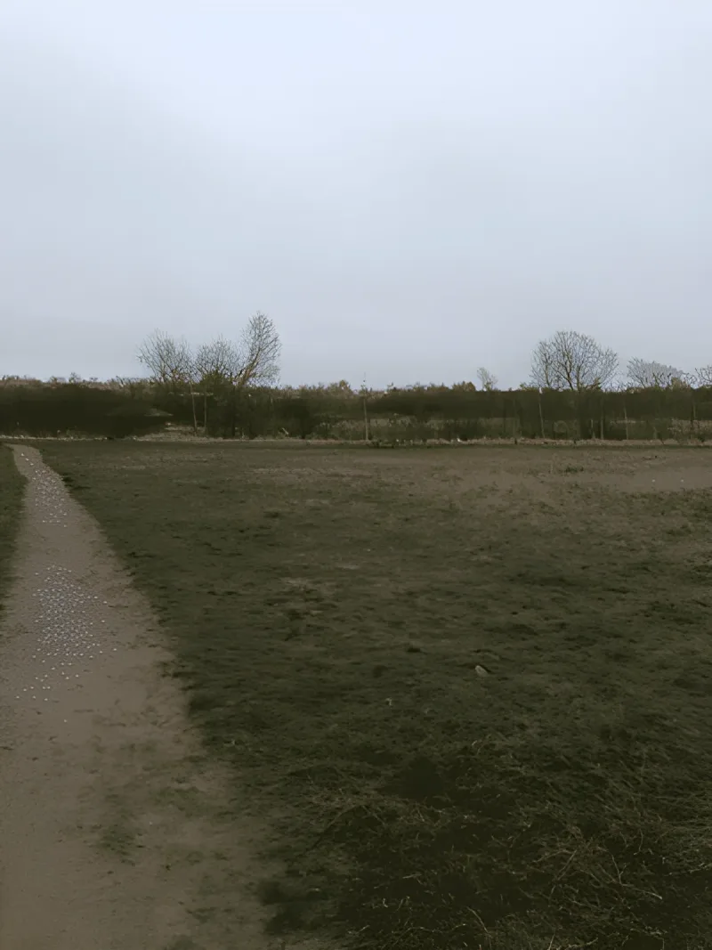 Even hundeskov billede 2