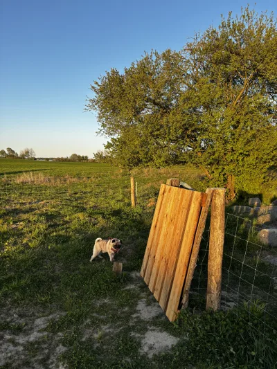 Hundeskov Trehøje hundepark