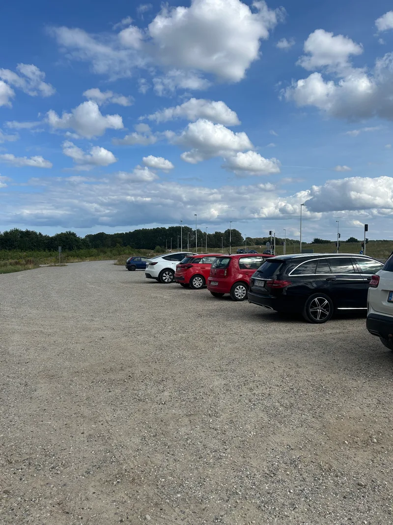 Hundeskov ved Rugballegård skov billede 4