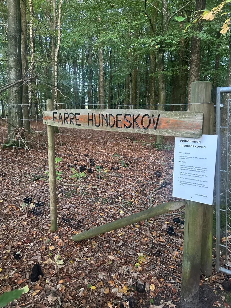 Farre Hundeskov photo 1