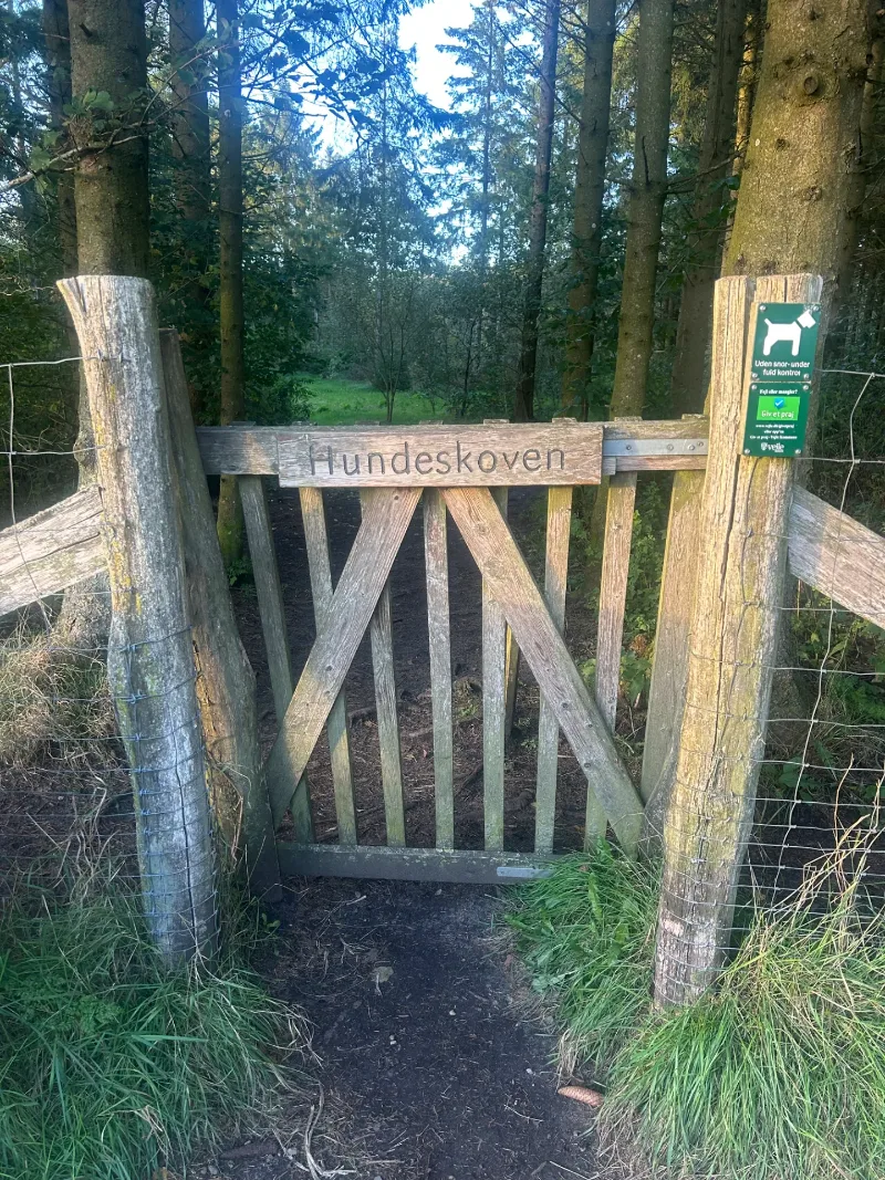 Give Hundeskov photo 1