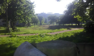 Hundeskov Trianglen store hundegård i Fælledparken