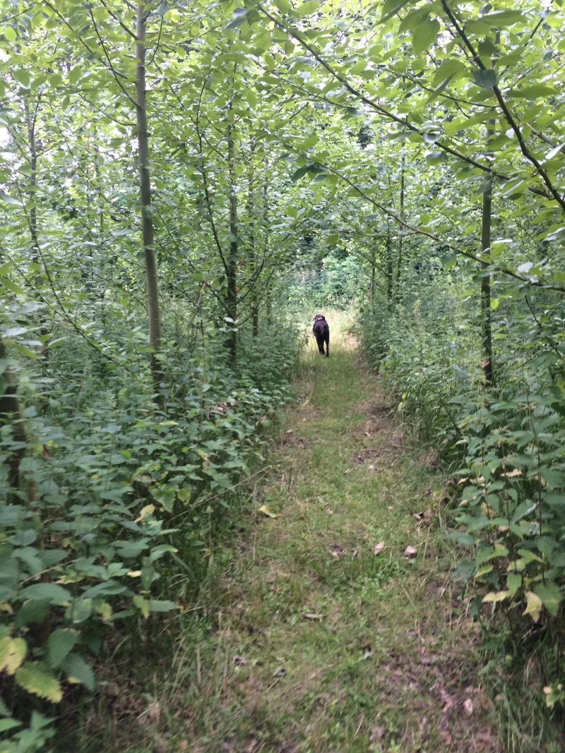 Dronninglund Naturpark flere billeder