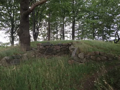 Overstjernen Hundeskov i Gråsten billede 3