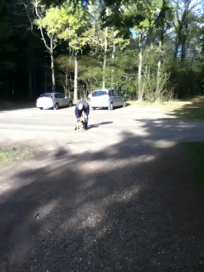 Hundeskov Klosterheden Hundenskov ved Kobbelhøje