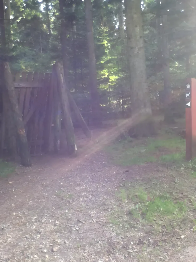 Klosterheden Hundenskov ved Kobbelhøje billede 3
