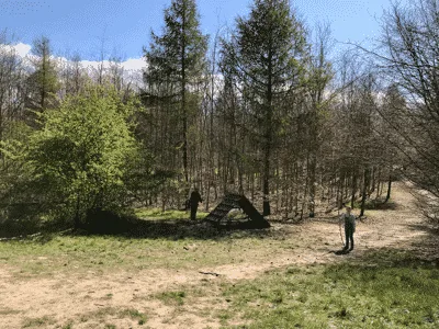 Klosterskov Hundeskov flere billeder