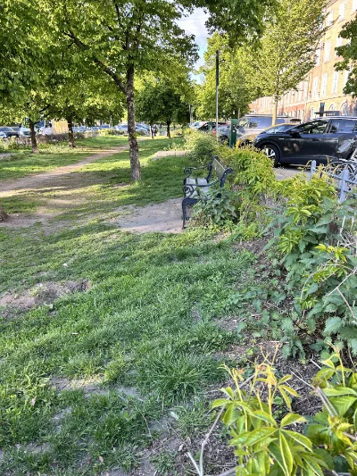 Nørre voldgade hundepark billede 3