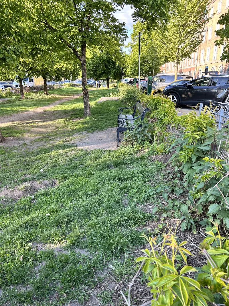 Nørre voldgade hundepark billede 3