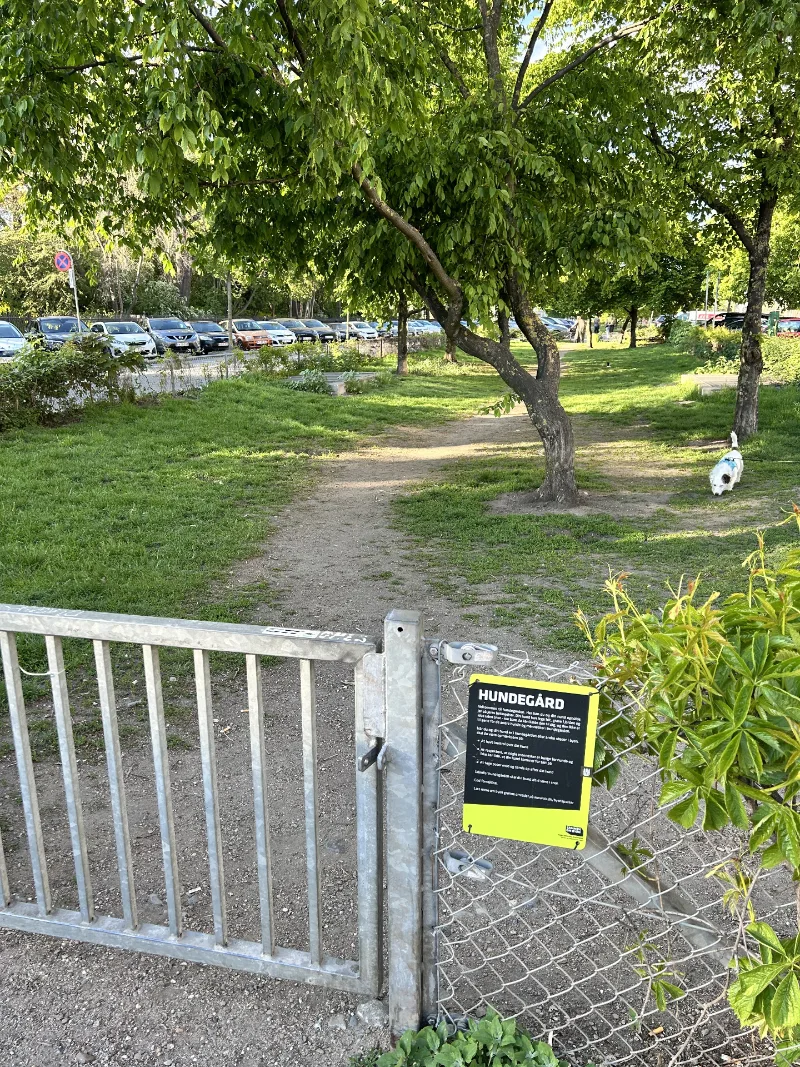 Nørre voldgade hundepark billede 1