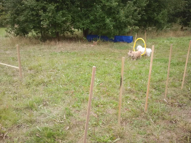 True Skov, Skjoldhøjvej billede 2