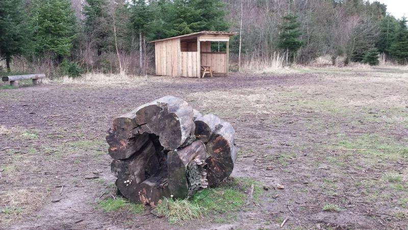 Assens hundeskov (Brunebjerg) billede 4