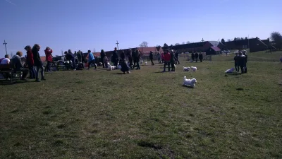 Hundemark i Mulighedernes Park billede 2