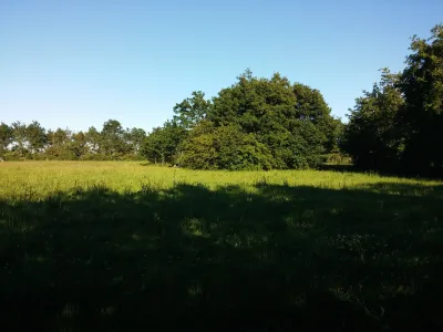 Hundeskov Vadum (Vangen hundeskov)