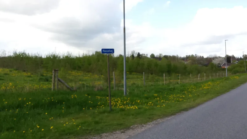 Kjellerup Hundeskov billede 4