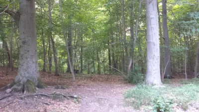 Grønnehave Skov billede 3