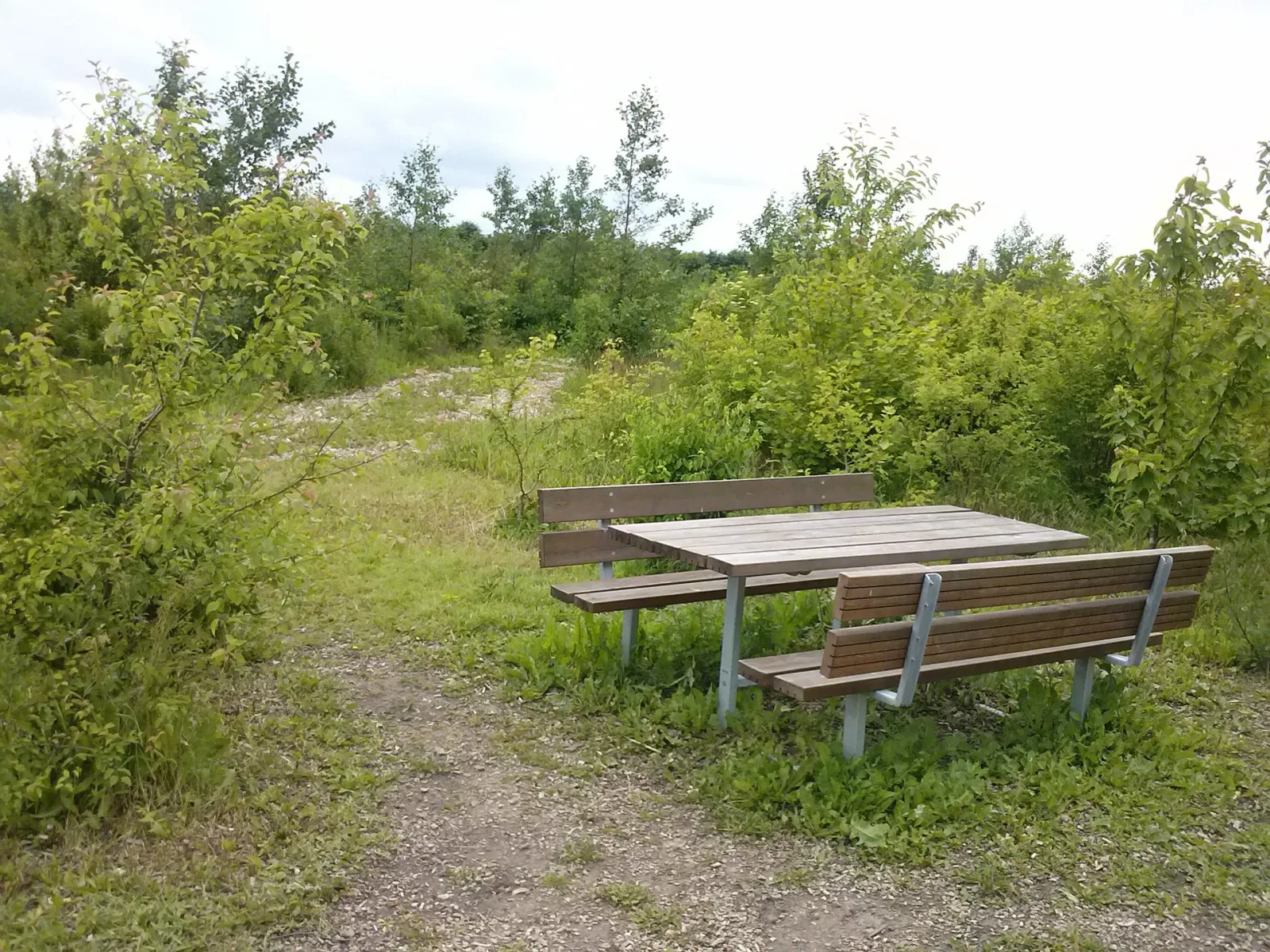 Krogsbølle hundeskov billede 1
