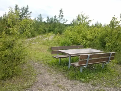 Hundeskov Krogsbølle hundeskov