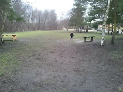 Ølby hundegård billede 2