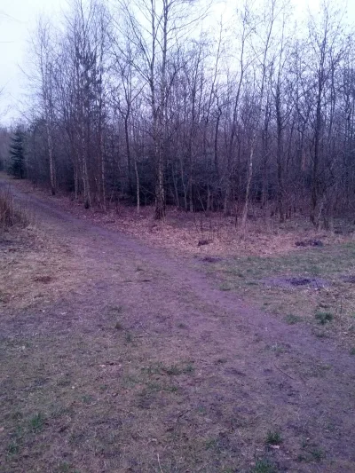 Gullestrup Hundeskov
