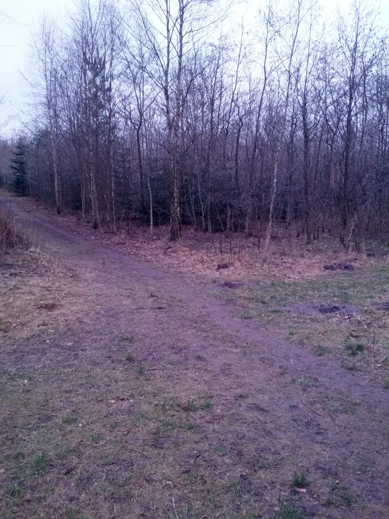 Gullestrup Hundeskov billede 1