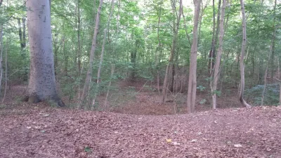 Grønnehave Skov billede 4