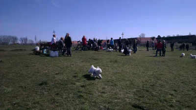 Hundeskov Hundemark i Mulighedernes Park