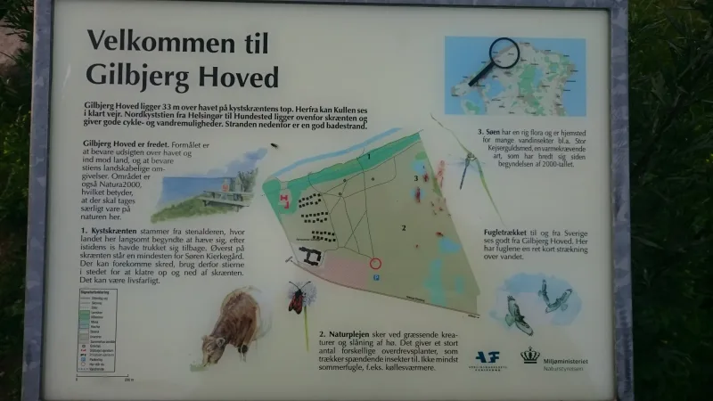Gilbjerg Hoved flere billeder
