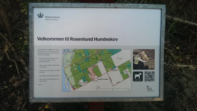 Kongelunden Hundeskov (Rosenlunden) billede 2