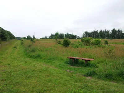 Hundeskov Hjørring Bjerge - hundemark