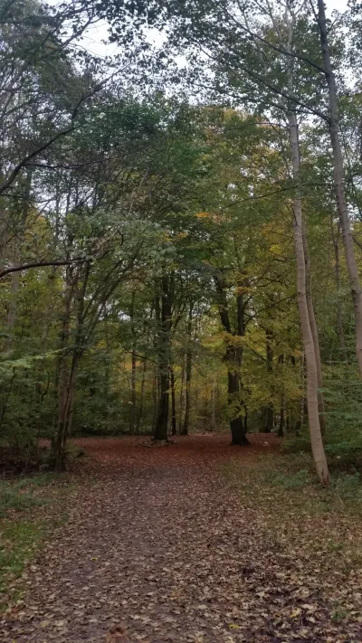 Uggeløse Skov billede 3